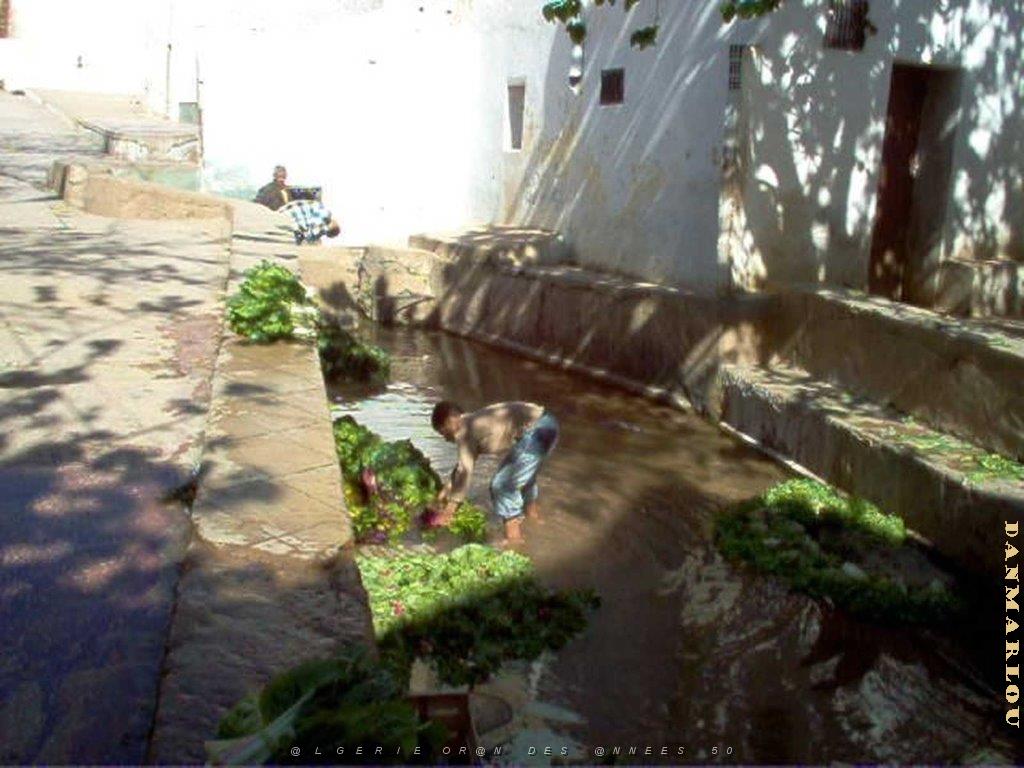 Algerie avril2005 058.jpg